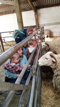 Meanwood Valley Urban Farm
